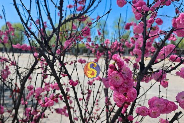 沈陽(yáng)龍生墓園